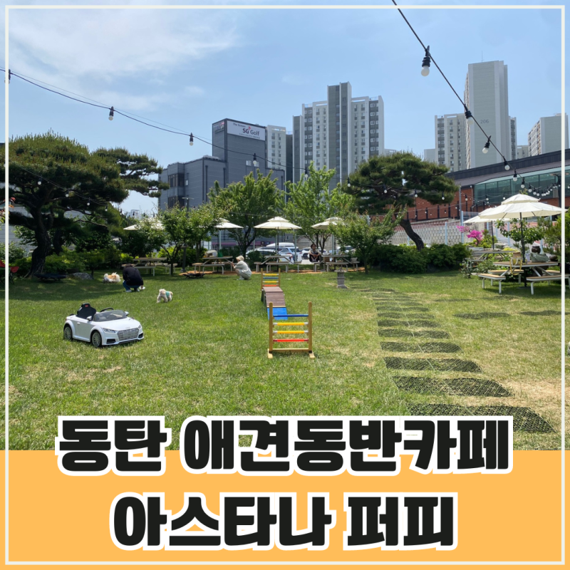 사진 5