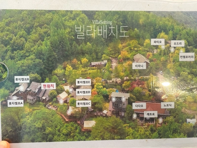 사진 4