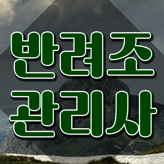  사랑앵무 키우기 , 반려조관리사 자격증 단기간에 합격한 후기 및 구직정보