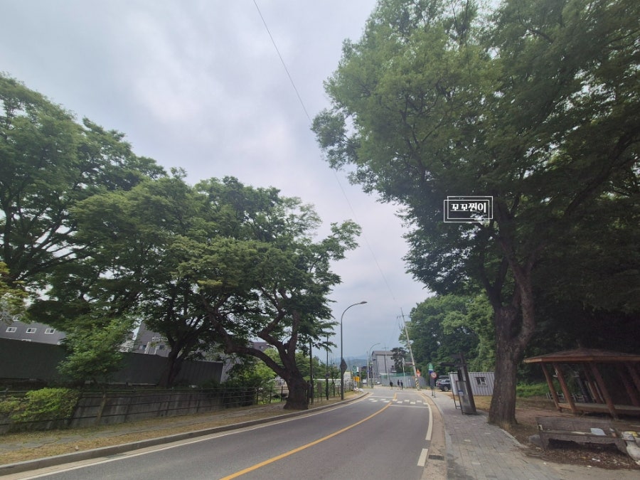 느티나무 모현직영점 사진 1