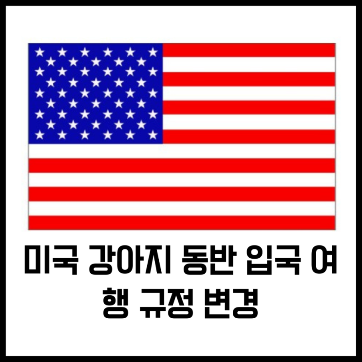  곧 미국 강아지동반 입국 여행 규정 변경으로 힘들어집니다!