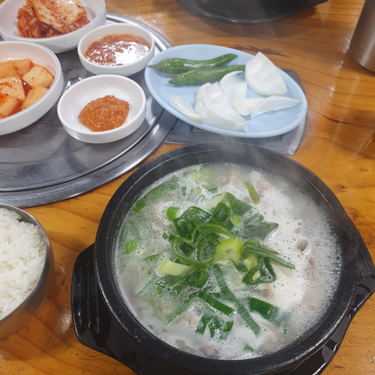  아현역 모돌이 순대국, 충정로역 백반집 이모네 식사 후기