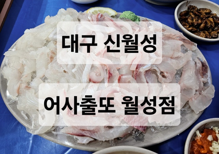  대구 신월성 야장 감성 가성비 회 맛집 '어사출또 월성점'