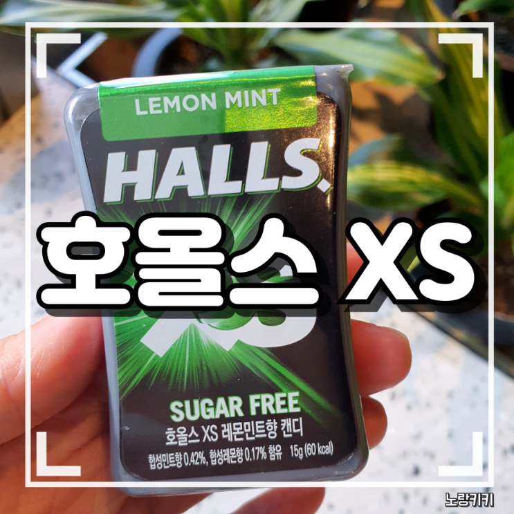 호올스 xs 레몬민트 멘토립터스 편의점 캔디 내돈내산 솔직후기 호올스 xs 레몬민트 멘토립터스 편의점 캔디 내돈내산 솔직후기