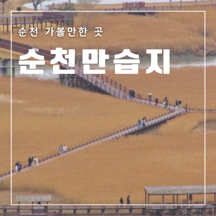 순천 가볼만한 곳 순천만습지 주차 입장료 할인정보 코스