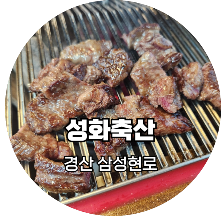  경산맛집 가성비 좋은 한우 투뿔로 성화축산에서 가족외식해요
