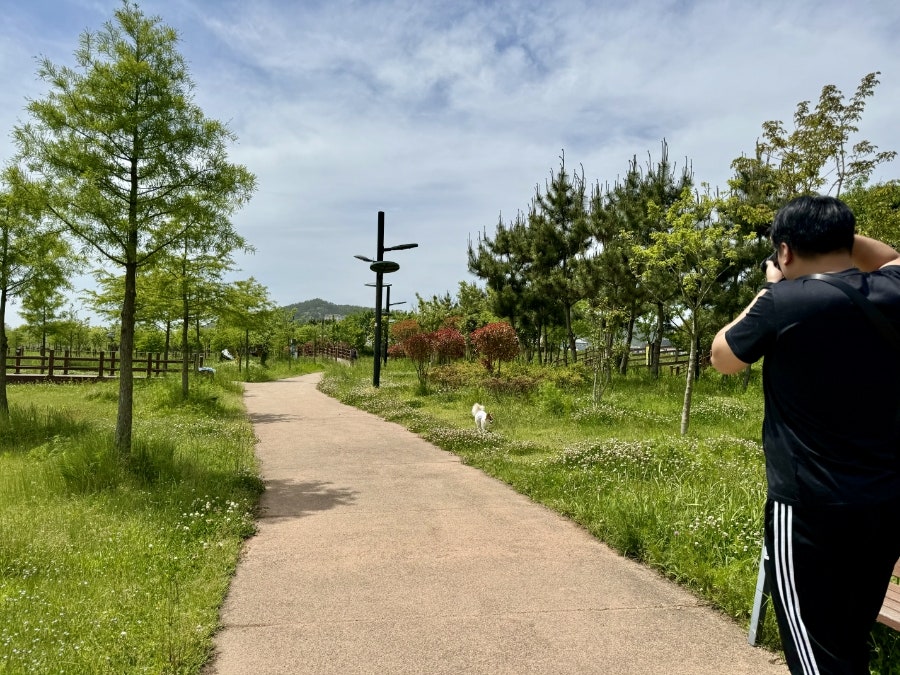 헬로벨로 사진 3