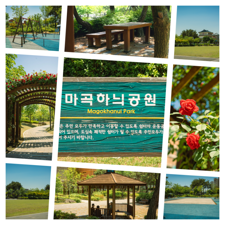  ::서른일곱 번째 공원:: 눈부신 마곡지구의 건물들 사이에 있는 주민들의 쉼터 '마곡하늬공원'