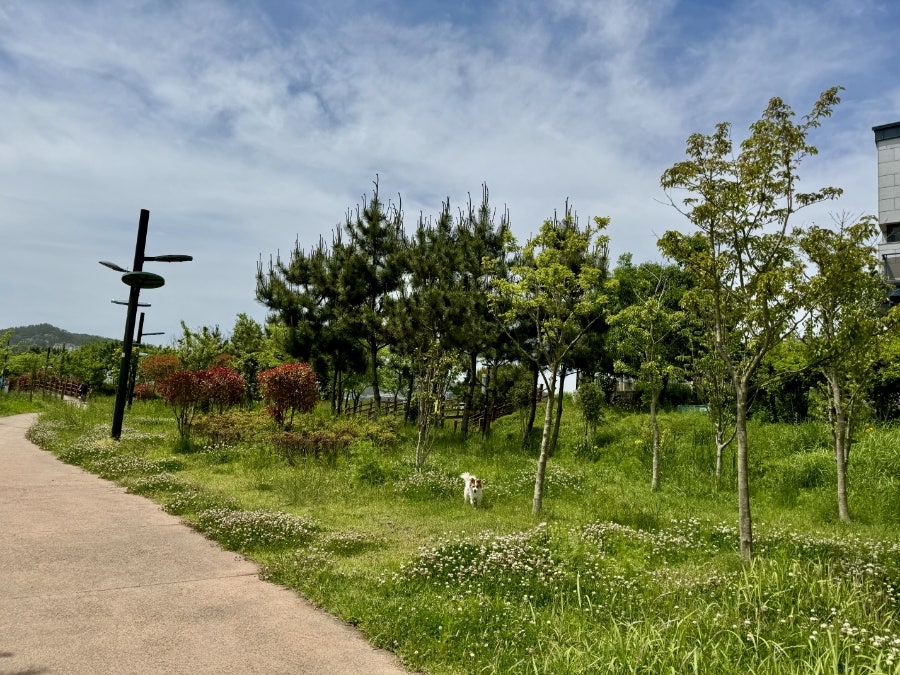 헬로벨로 사진 2