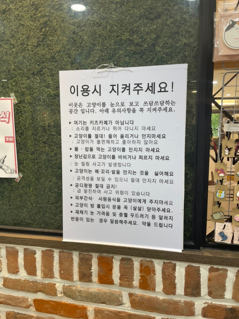 펫아쿠아카페 펫쿠 부산고양이카페