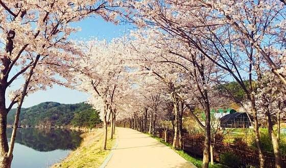 사진 3