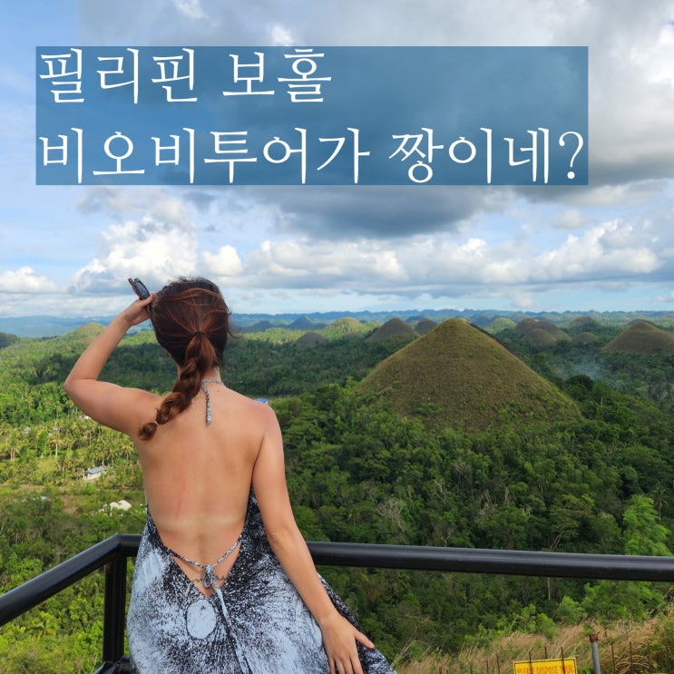  보홀 자유여행 패키지 비오비투어 공항 픽업부터
