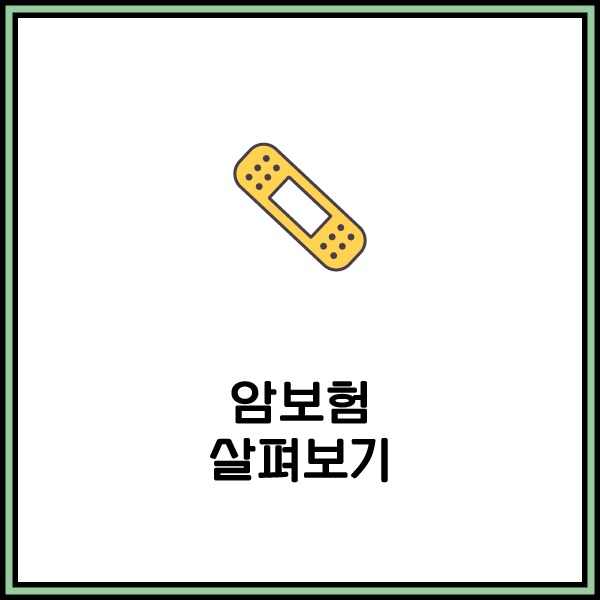  암보험비갱신형 추천 받아서 알 수 있는 정보는?