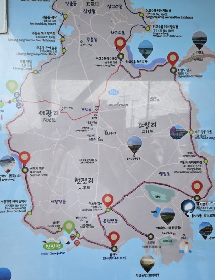  제주도 우도 배 시간