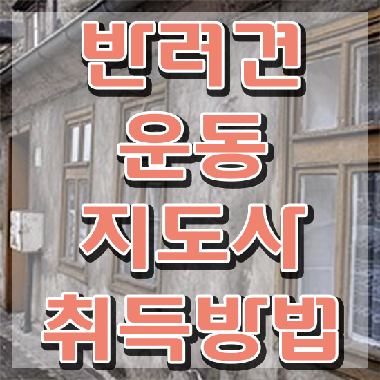  반려견운동지도사자격증 비용없이 온라인으로 준비한 방법