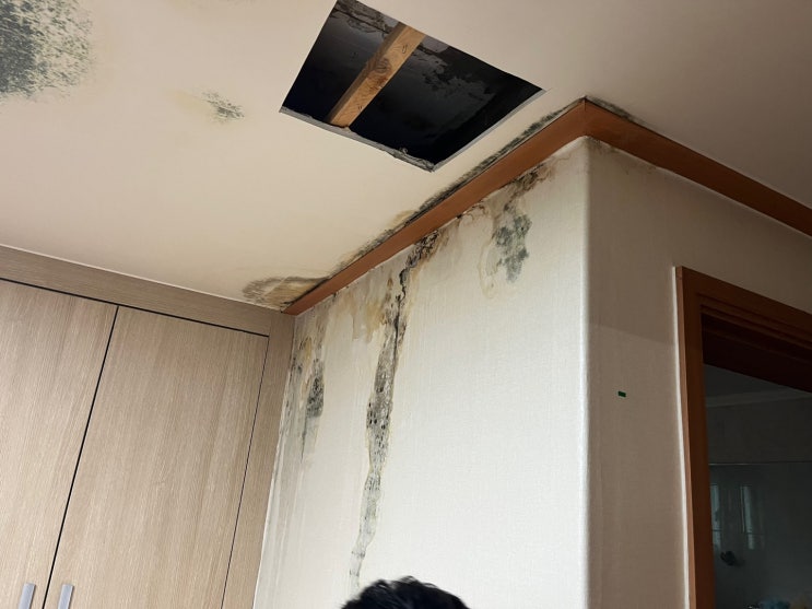  안양 호계동 아파트 욕실 온수배관 누수 간단 해결 공사!