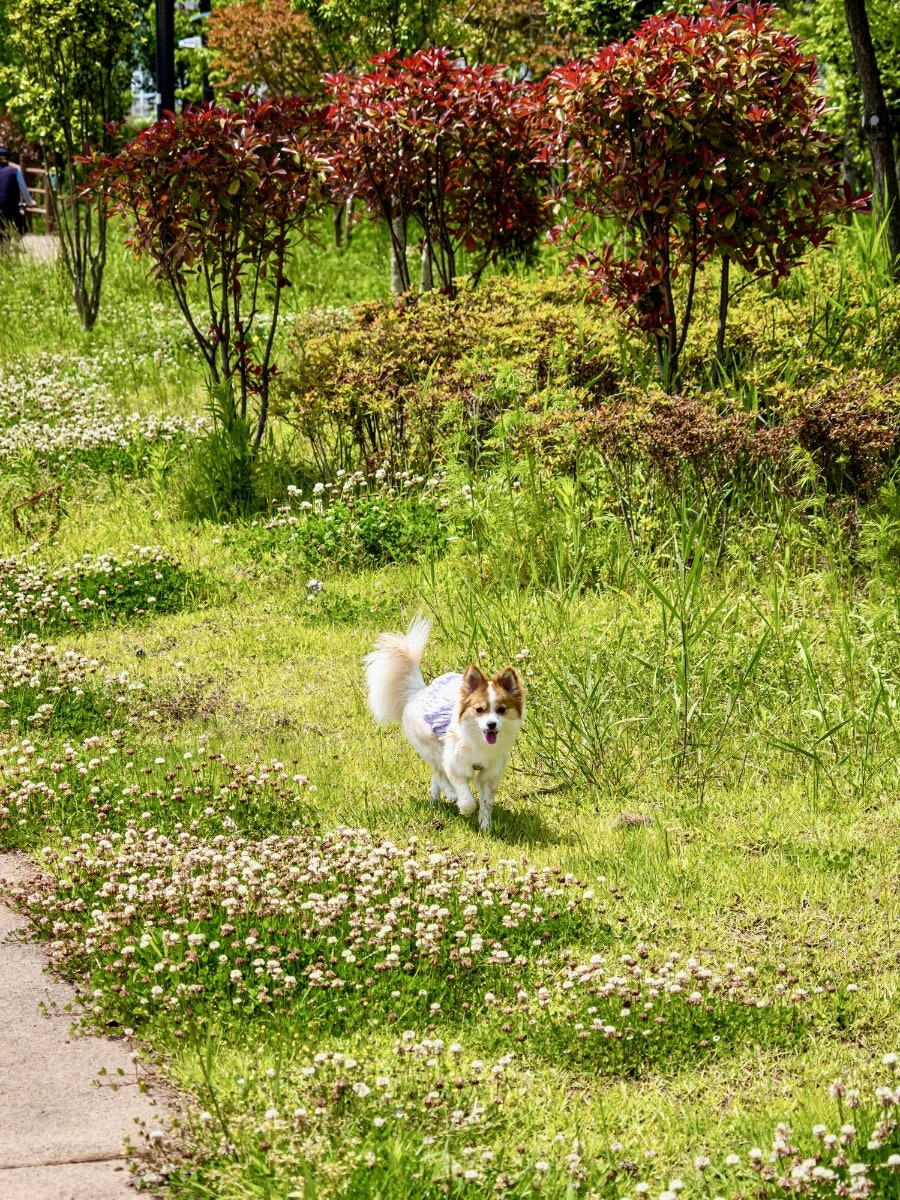 헬로벨로 사진 5