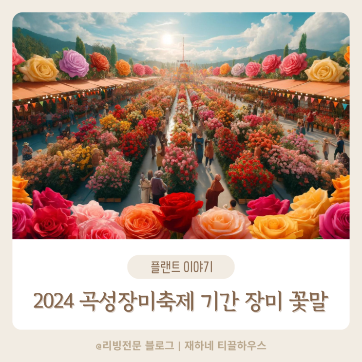  2024 곡성 봄꽃 세계 장미축제 기간 장미 색깔별 꽃말 의미