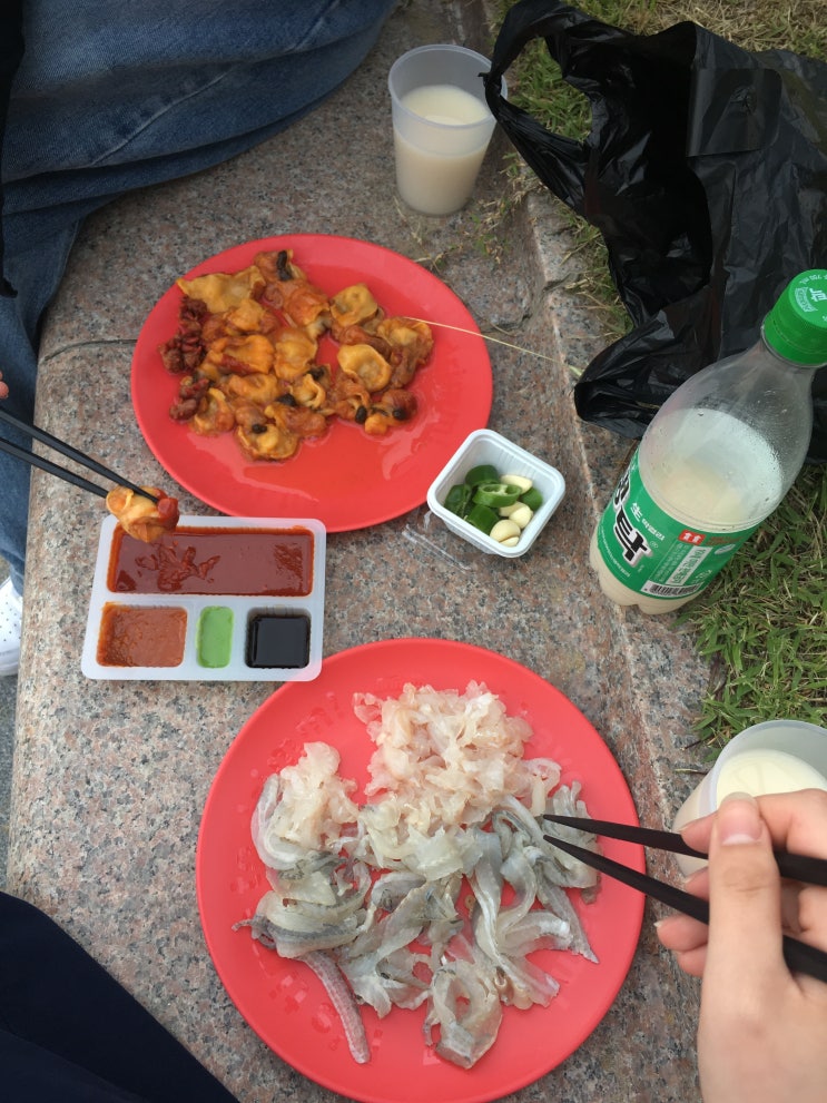  내년에도 가고 싶은 [광안리 어방축제] 솔직후기