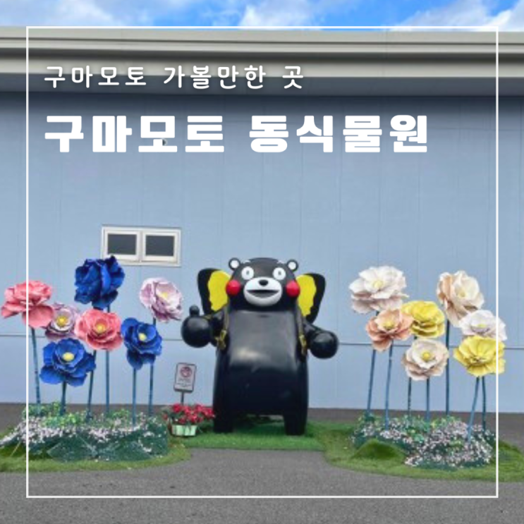  [일본] 구마모토 가볼만한 곳 구마모토 동식물원 후기