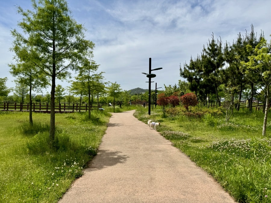 헬로벨로 사진 4