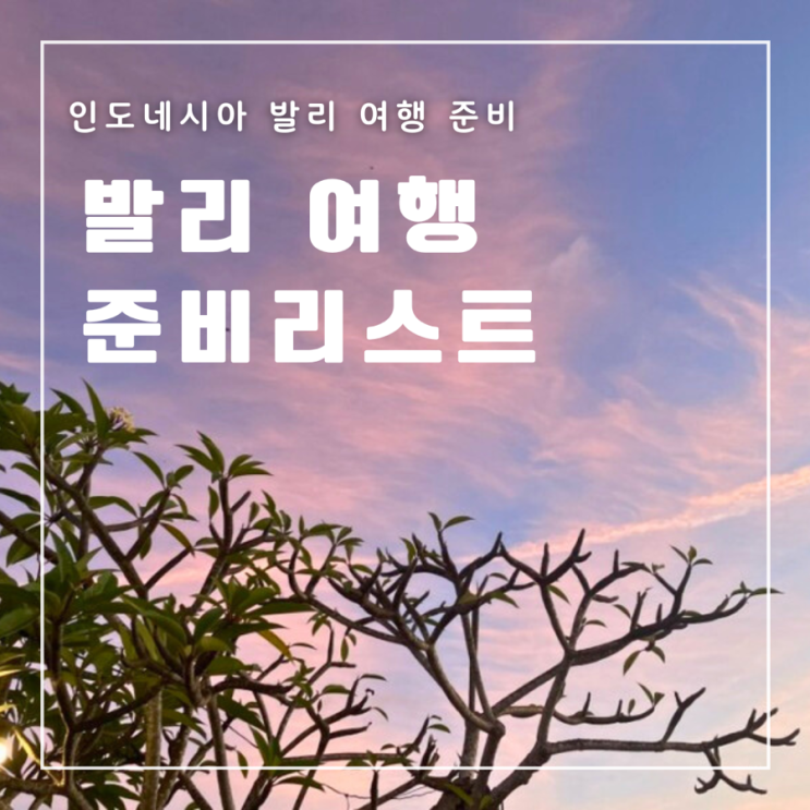  발리 여행 준비 입국 전자세관신고 도착비자 어플 총정리