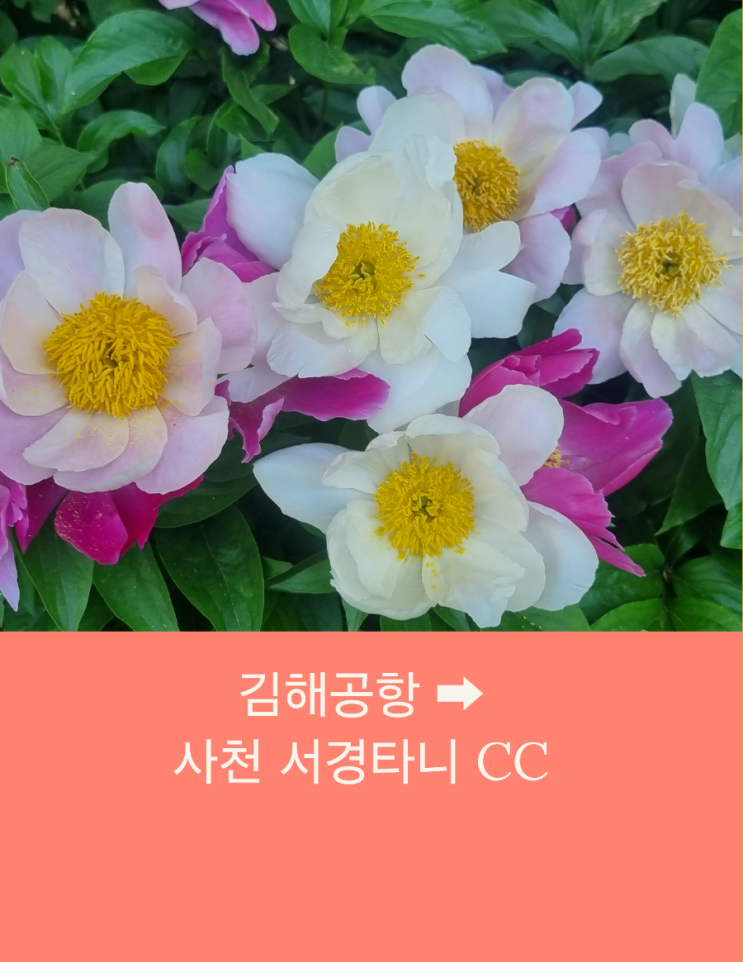  김해공항택시예약 부산에서 사천 타니CC까지 사진예약하신 장거리택시운행