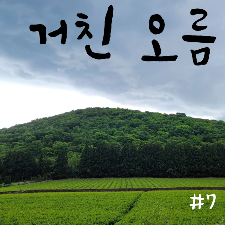  제주 쉬운 오름, 거친 오름 (feat. 노루생태관찰원)