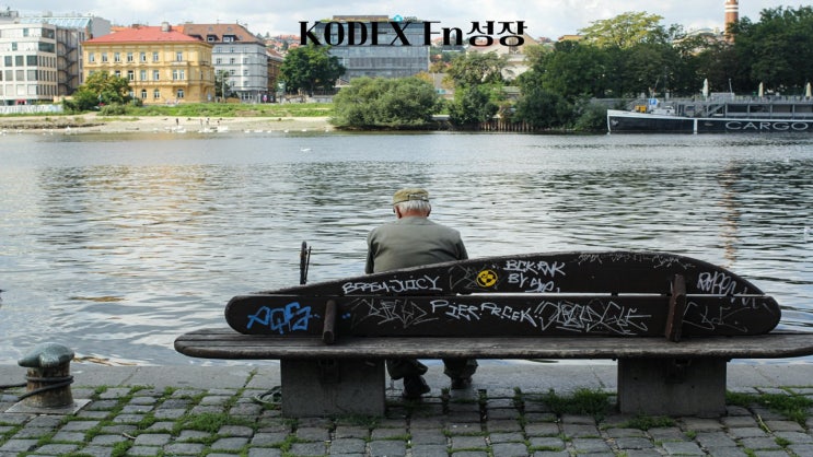  KODEX Fn성장/325010