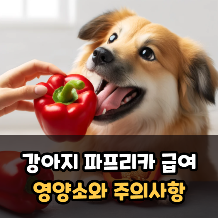  강아지 파프리카 급여 괜찮나요? 영양소와 주의사항