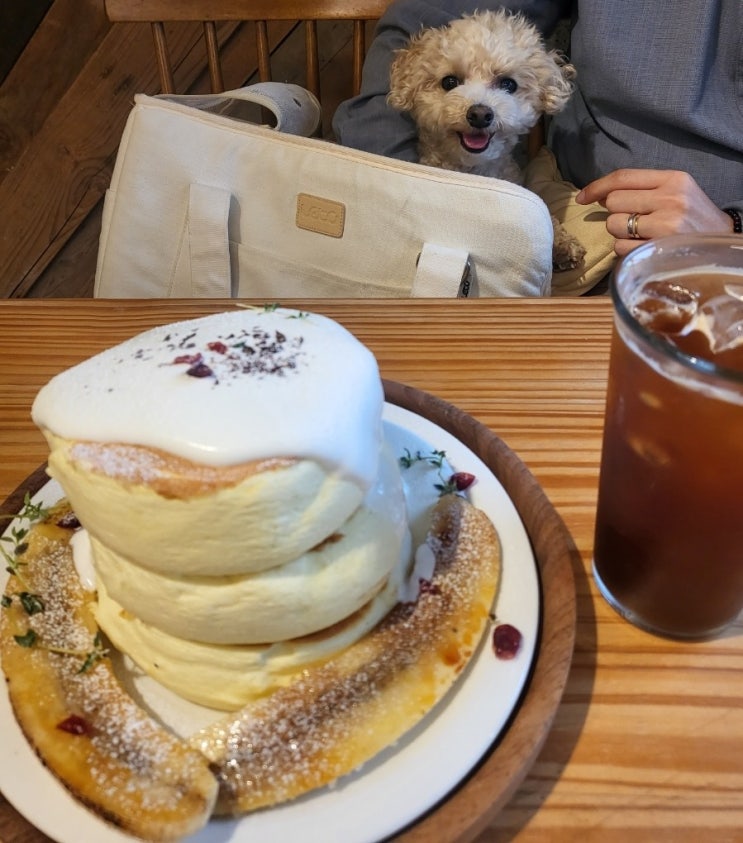  강화도 카페 2번창고 수플레 팬 케이크 애견동반 맛집