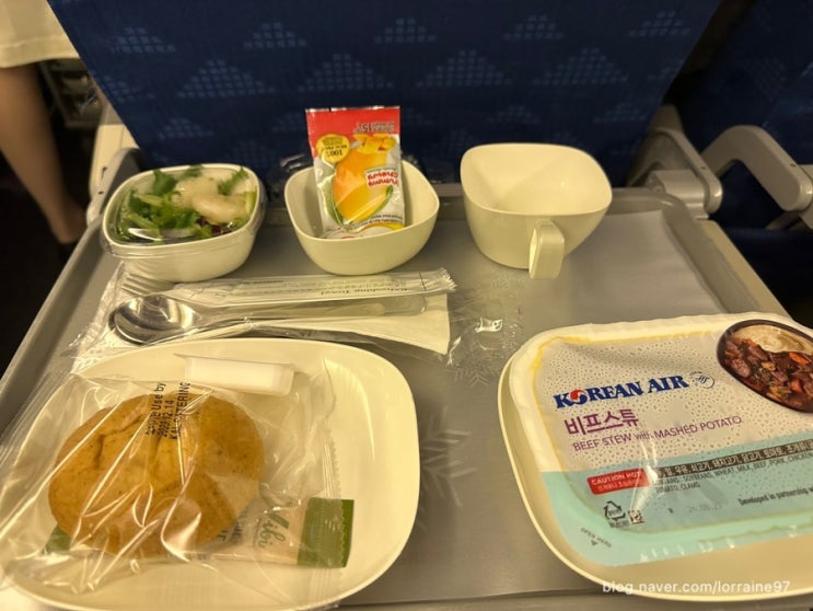  방콕경유 인도 뭄바이행 항공편 후기 (대한항공&타이항공)
