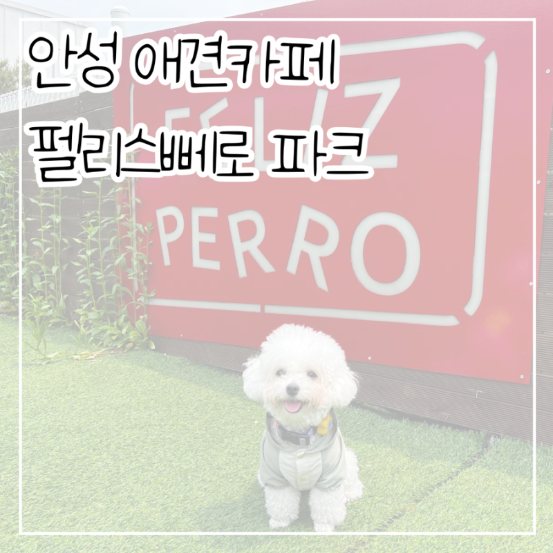사진 4