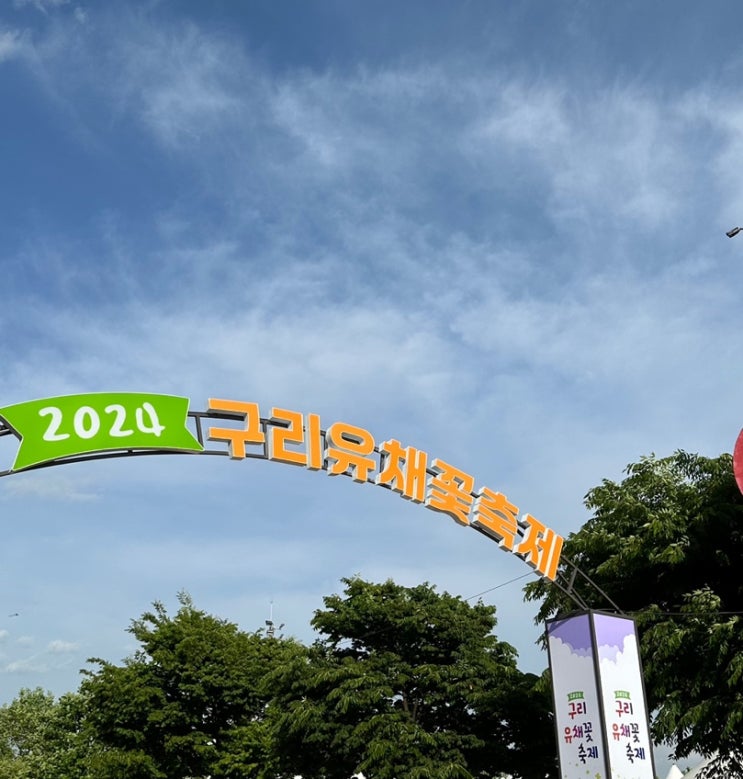  일상/일기 :: 2024 구리 유채꽃 축제