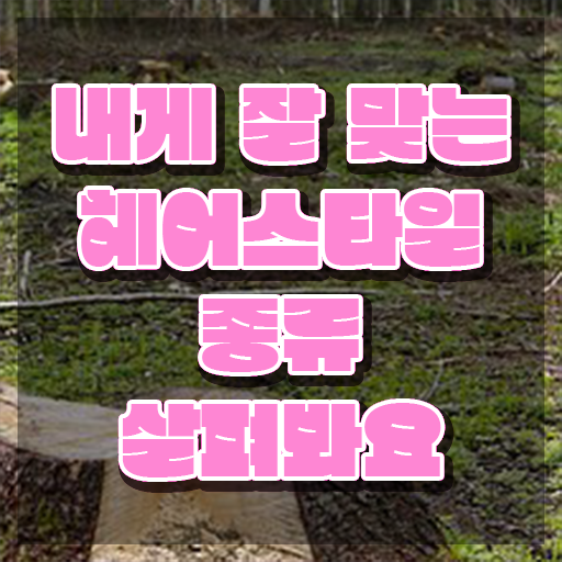  커트지도사 학점 , 커트지도사 자격증 상세한 취득과정 정리