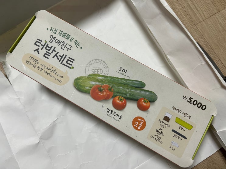  다이소 <직접 재배해서 먹는 열매친구 텃밭세트> 후기