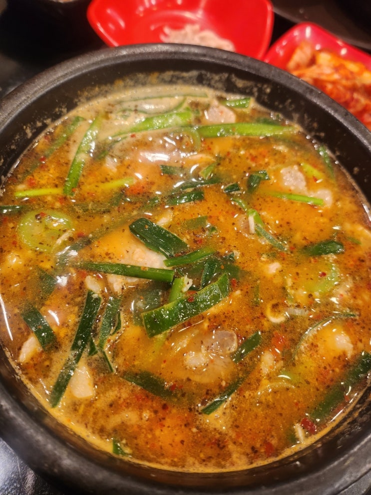  [서울역/회현역/시청역]순화동 4년 단골 돼지국밥 추천맛집 동감 내돈내산 찐 후기