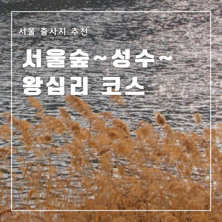  서울 출사지 추천 커플 출사 데이트코스 왕십리맛집 서울숲 성수 살곶이다리