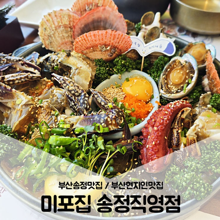  부산 송정 맛집 / 부산현지인이 또또간집 미포집 송정직영점
