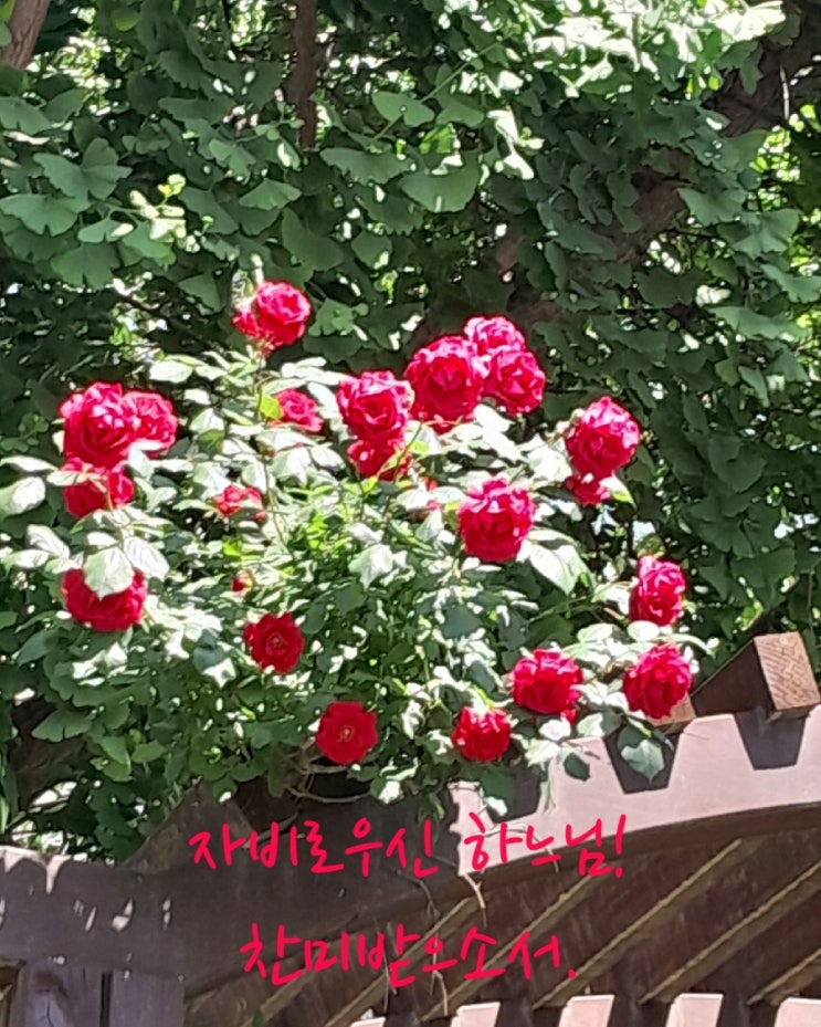 <b>부처님 오신</b> 날(대림동 말씀마당)