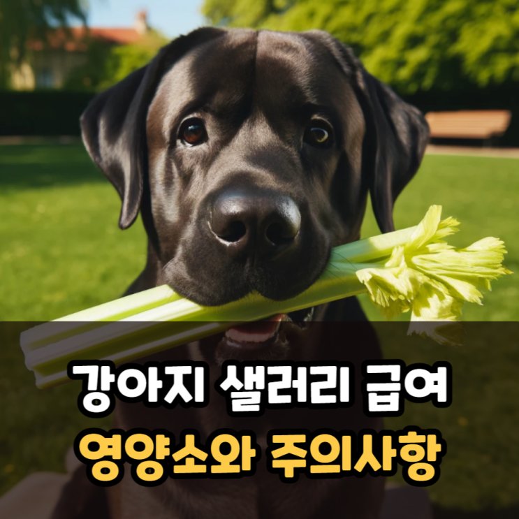  강아지 샐러리 급여시 영양소와 주의사항