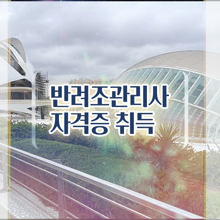  퀘이커 앵무새 가격 , 반려조관리사 자격증 응시자격 없이 취득한 노하우 , 채용 정보
