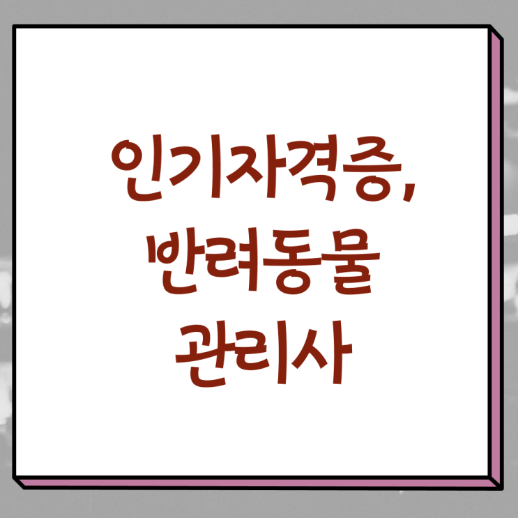  부산 강아지 훈련사 , 반려동물관리사 자격증 온라인으로 합격 전략 확인하기