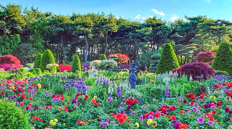  [경기 파주] 벽초지 수목원, 델피니움 꽃 축제 [이번주말 갈만한곳]