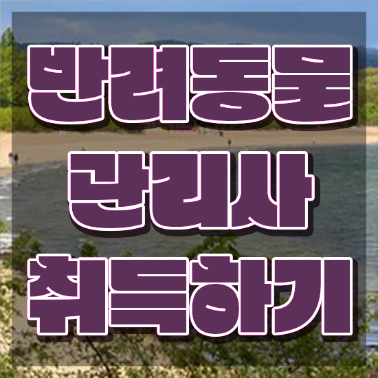 서울 반려동물의료비지원 , 반려동물관리사 자격증 온라인으로 간단히 취득한 방법 알려드려요