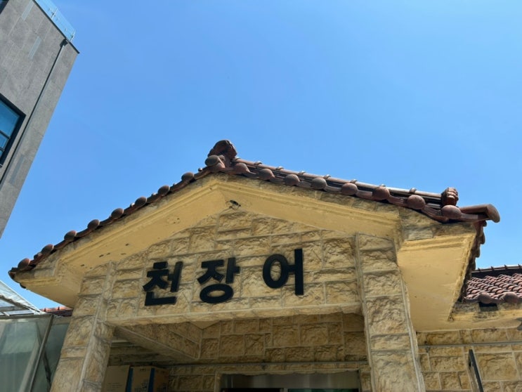  [과천/선바위역]천장어 과천점: 추천받아 방문한 가성비 풍천 장어 맛집