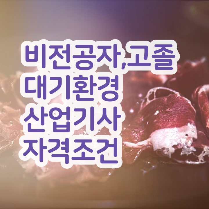  대기환경산업기사 자격요건 온라인 과정으로 5개월 만에 완료한 전략