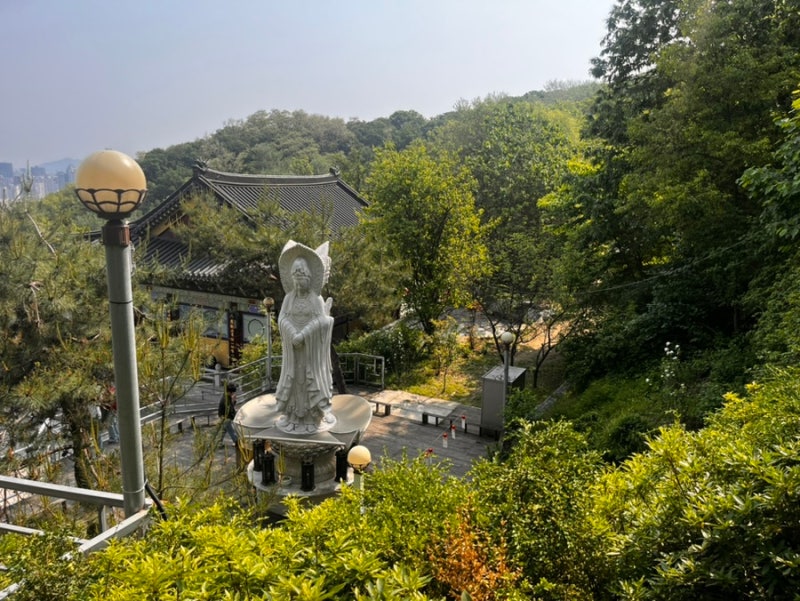 사진 3