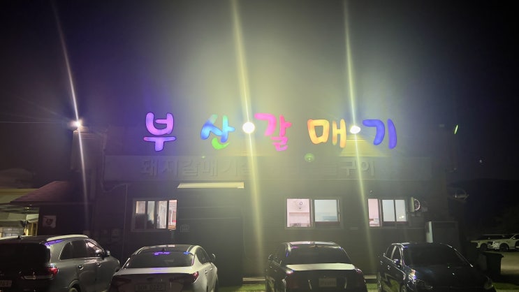  부산 로컬 맛집 웨이팅 있는 부산갈매기 소개드립니다