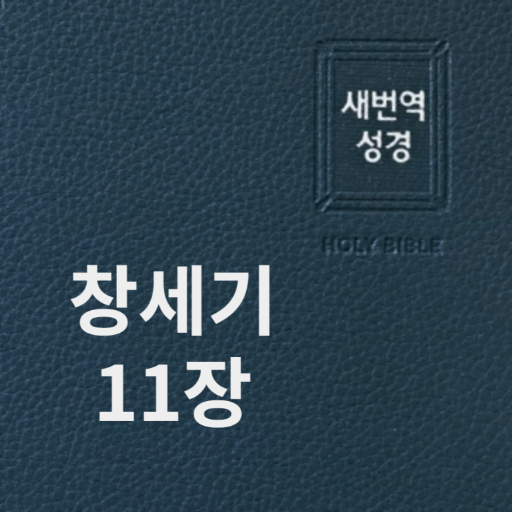 창세기 11장 창세기 11장